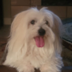 Meet your Posher, Connie